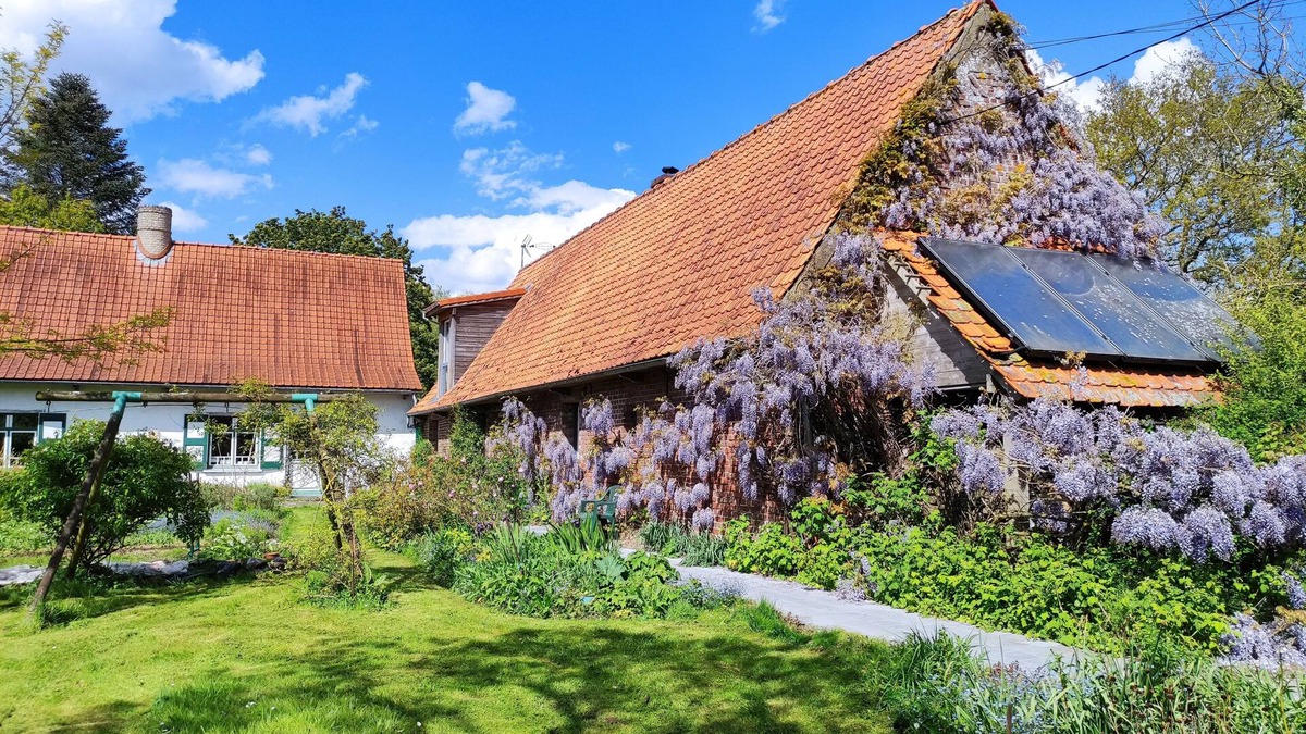 Lederzeele House | Self-catering cottage in Flanders