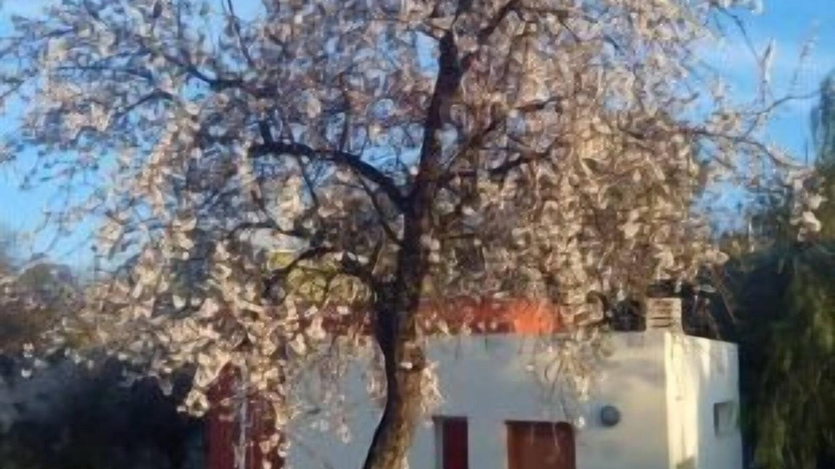Calles Cottage | Self catering cottage La Aldea for 2 people