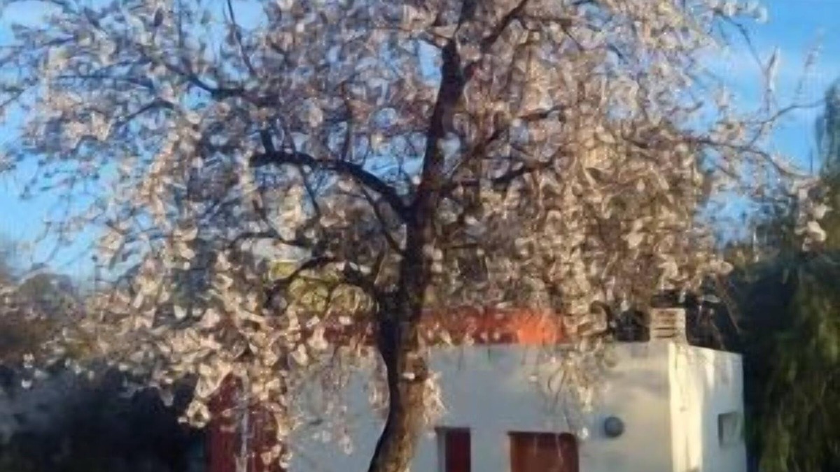 Calles Cottage | Self catering cottage La Aldea for 4 people