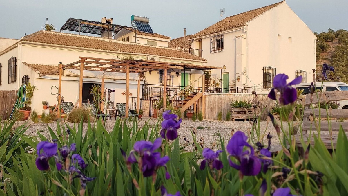 Moclin Apartment | Self-contained apartment with large outdoor space, pool and terrace