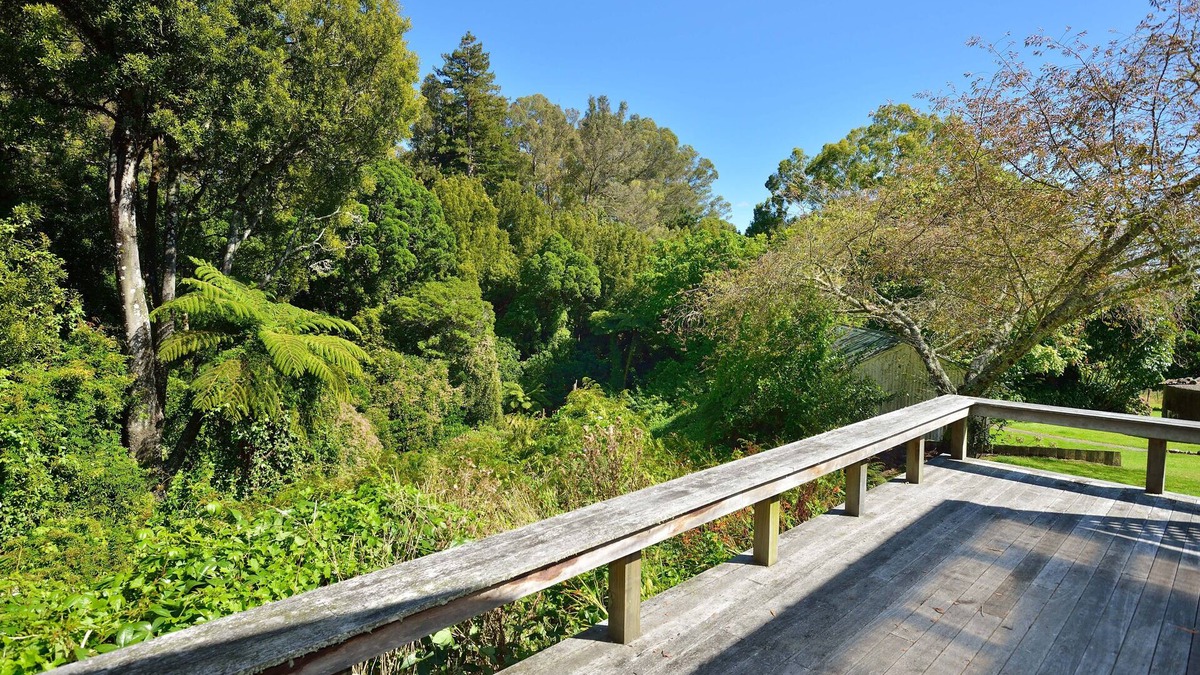 Morere Cottage | Self Contained Cottage With Peaceful Bush Views