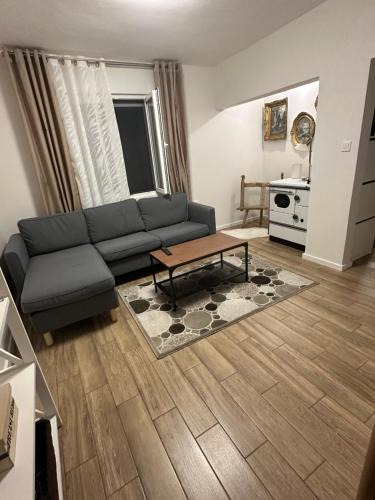 Pluzine House | Seljani