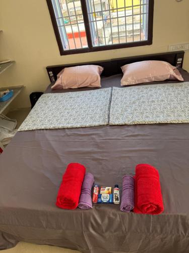 Central Chennai Apartment | Sels Home 2 single bed, attached bathroom, lift, third floor, CAR park, entire terrace