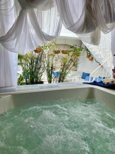 Zona Colonial Hotel | Selva María Hotel Boutique