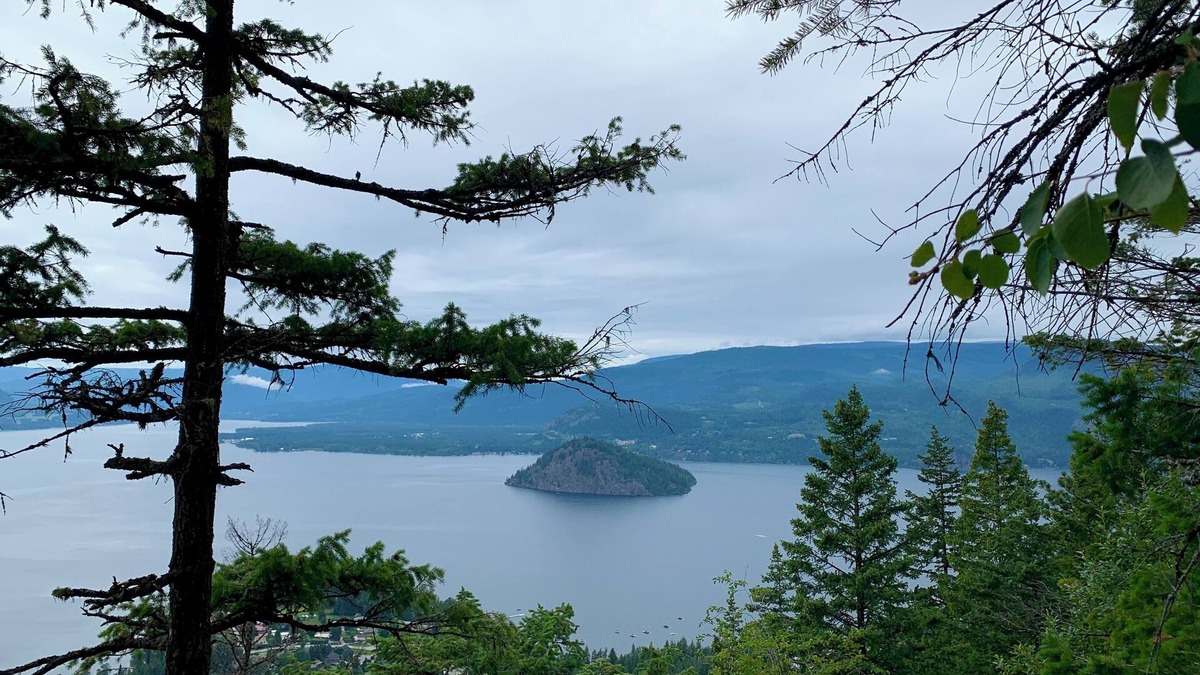 Blind Bay Cottage | Semi-Waterfront Cottage, w/beach & dock access & buoy, West View, Pet Friendly