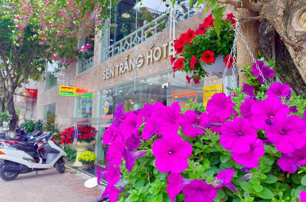 Lao Cai Hotel | Sen Trang Hotel