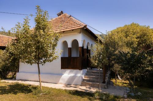 Stara Planina Apartment | Sentina kuća