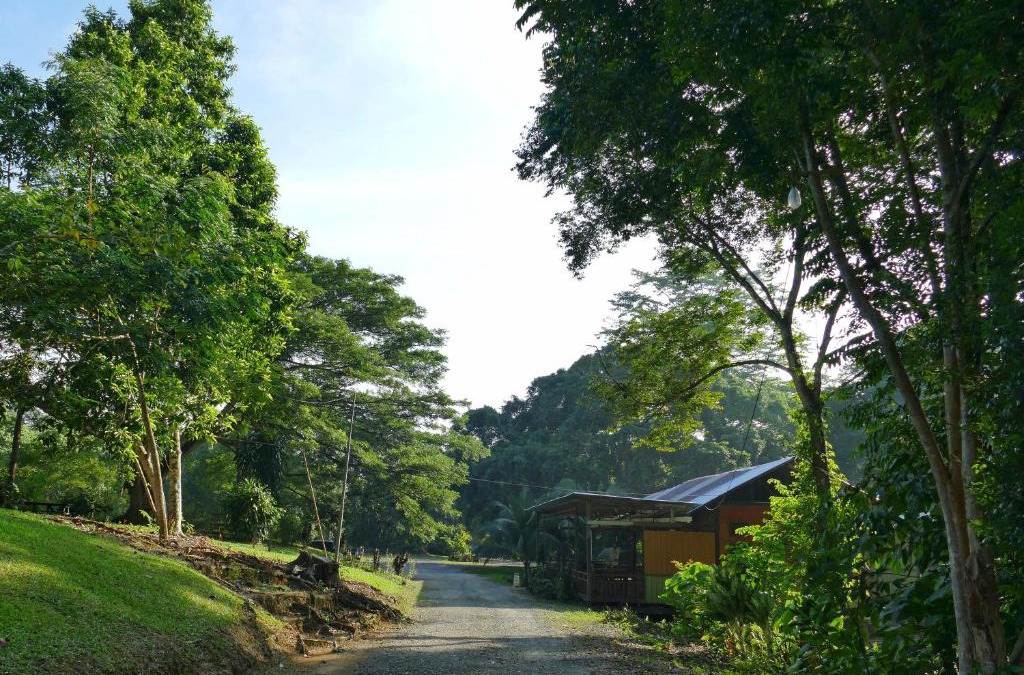 Sepilok Bed & Breakfast | Sepilok B&B