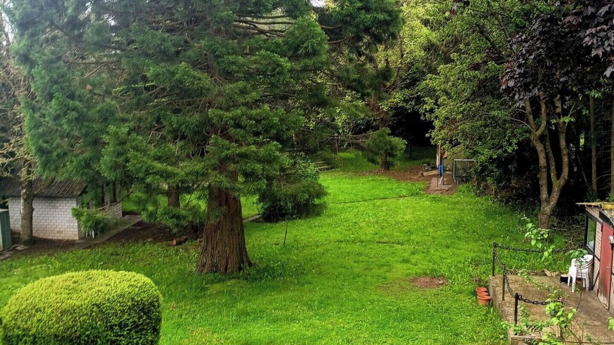 Berndorf Apartment | Sequoia Apt. for nature lovers, near the Nürburgring
