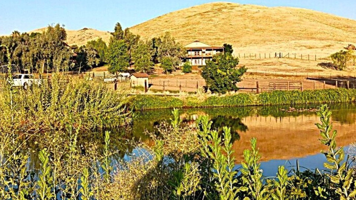Exeter House | Sequoia Foothill Ranch Chateau, View, Pool, horses 30 min to Park