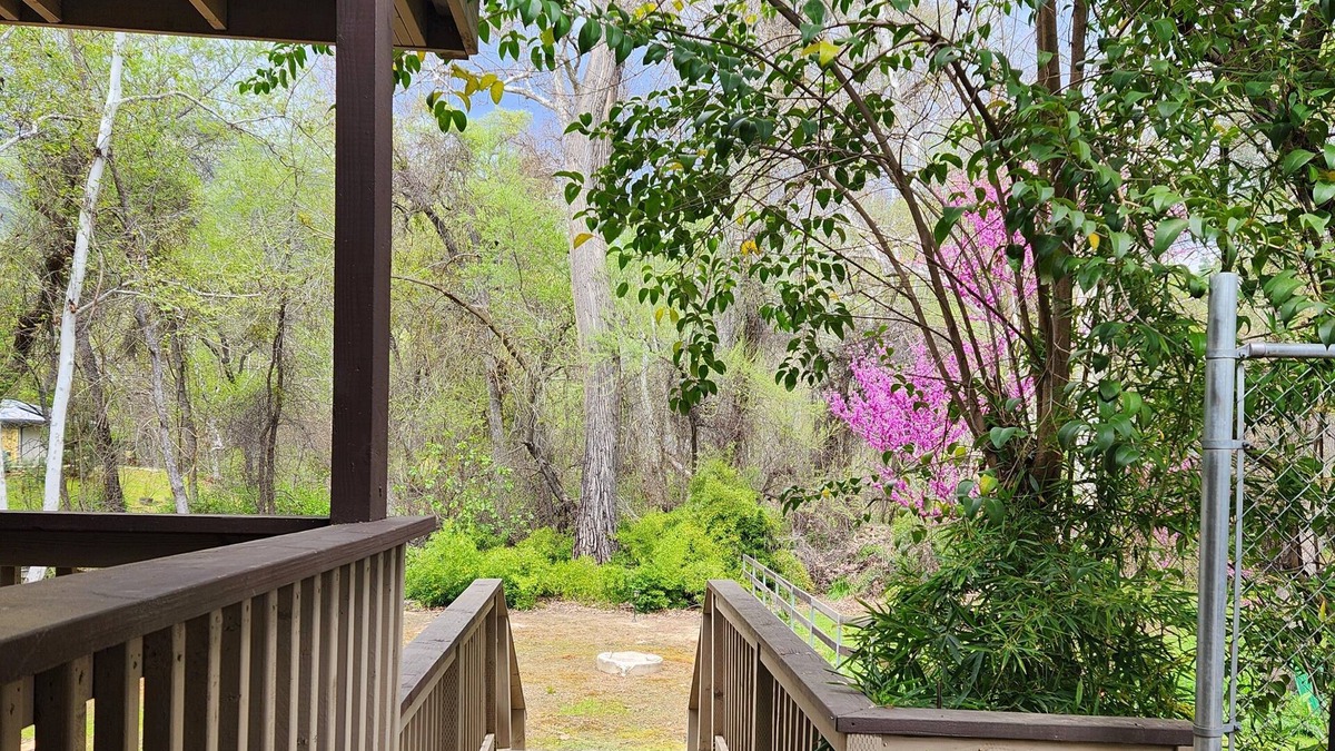 Three Rivers Apartment | Sequoia Relaxation Nook/charming 1 bedroom studio in three rivers