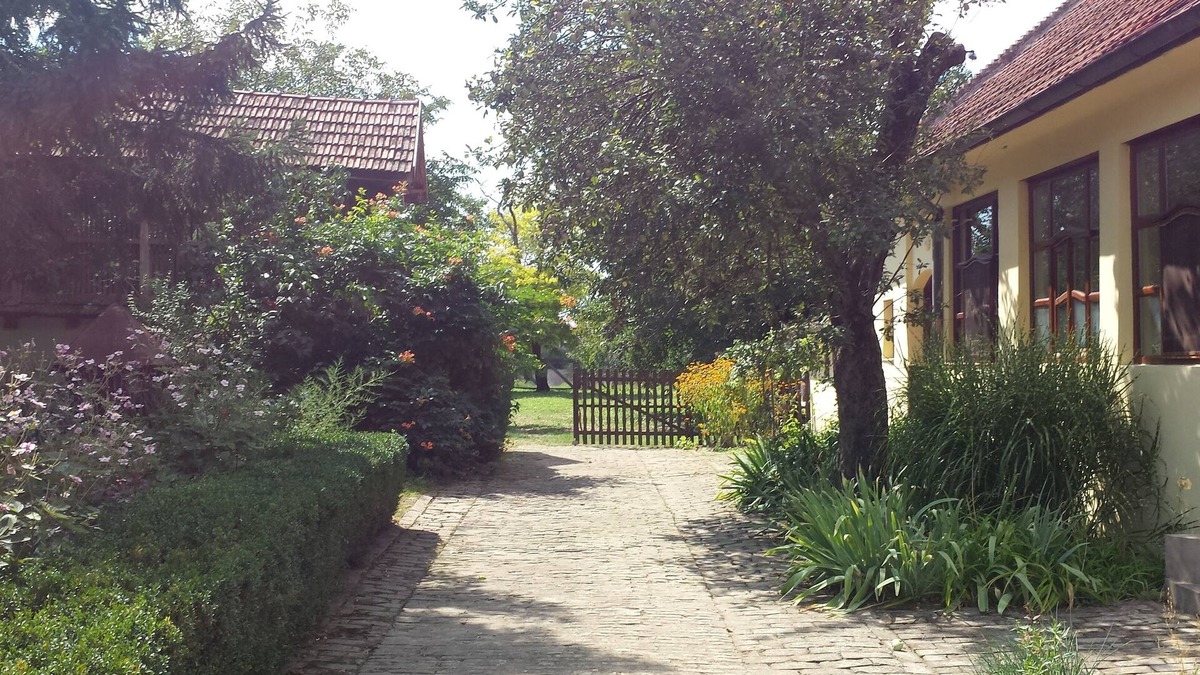 Stara Moravica Other | Serbian Village Farmhouse