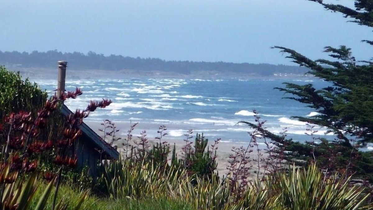 Fort Bragg House | Serendipity - with Ocean Views and Beach Access