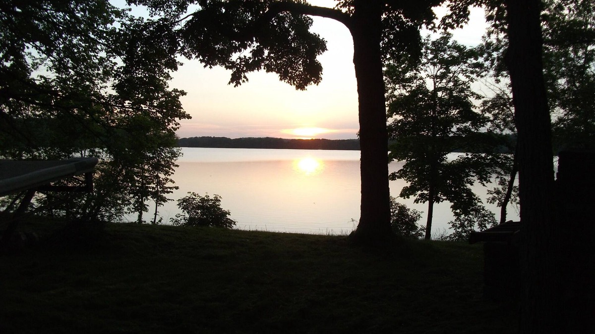 Parkers Prairie Cabin | Serene And Quiet Setting That Is Family Friendly.