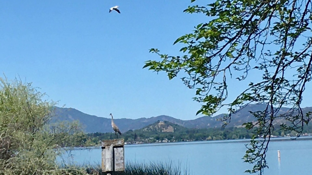 Lakeport House | Serene lake house in Lands End