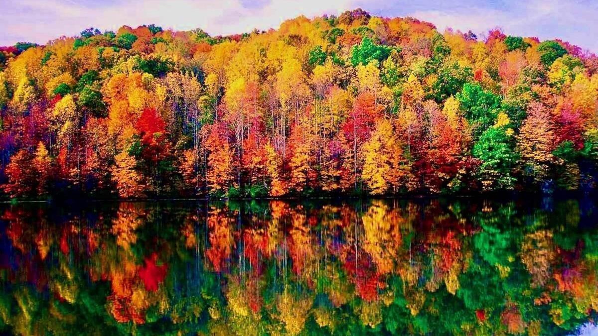 Sparrow Bush Cottage | Serene lakeside oasis - fast WiFi 1.5 hrs from NYC, fire-pit & nature all around