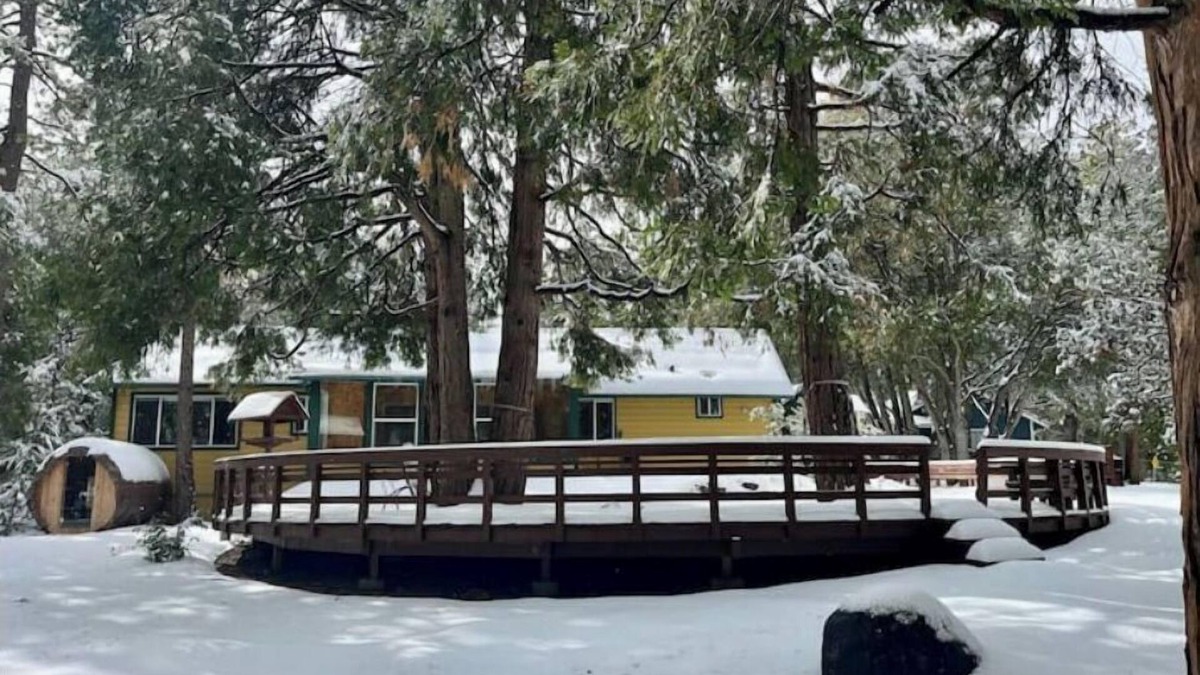 Pine Cove Cabin | Serene & Magical Cabin - Family/ADA-Friendly, w/Barrel Sauna & Fireplace!
