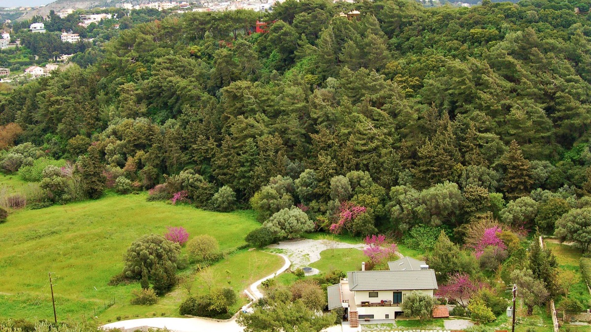 Asgourou Villa | Serene Retreat Secluded villa in natural setting, family friendly