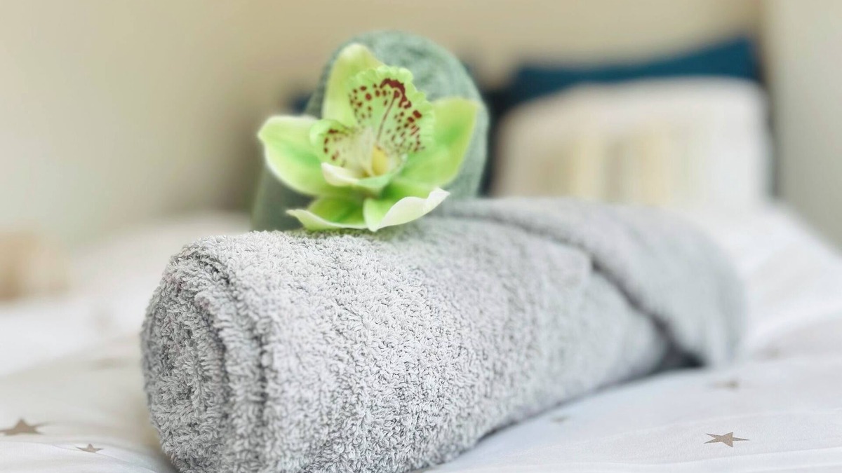 Olten Apartment | Serene stay