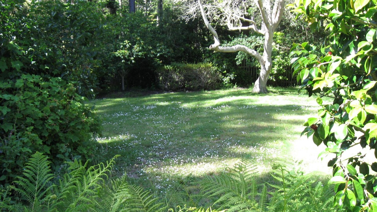 Mendocino House | Serenity In The Gulch Only 5 Minutes From Historic Mendocino Village