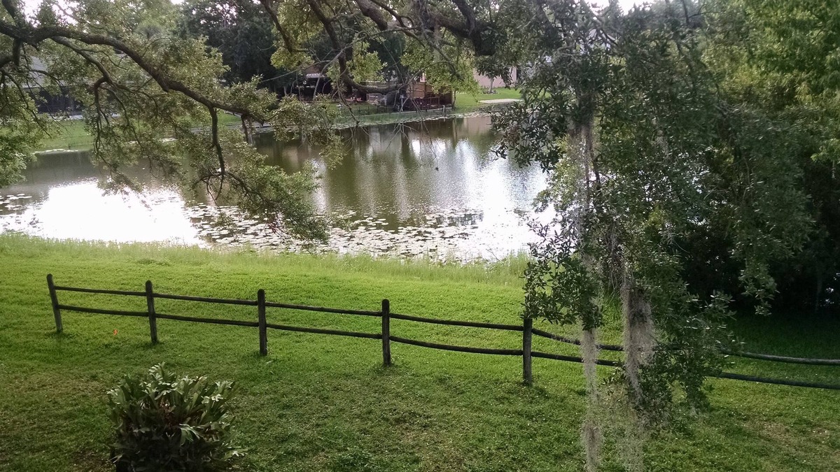Timberlane Woodlake House | Serenity LakeHouse in Tampa