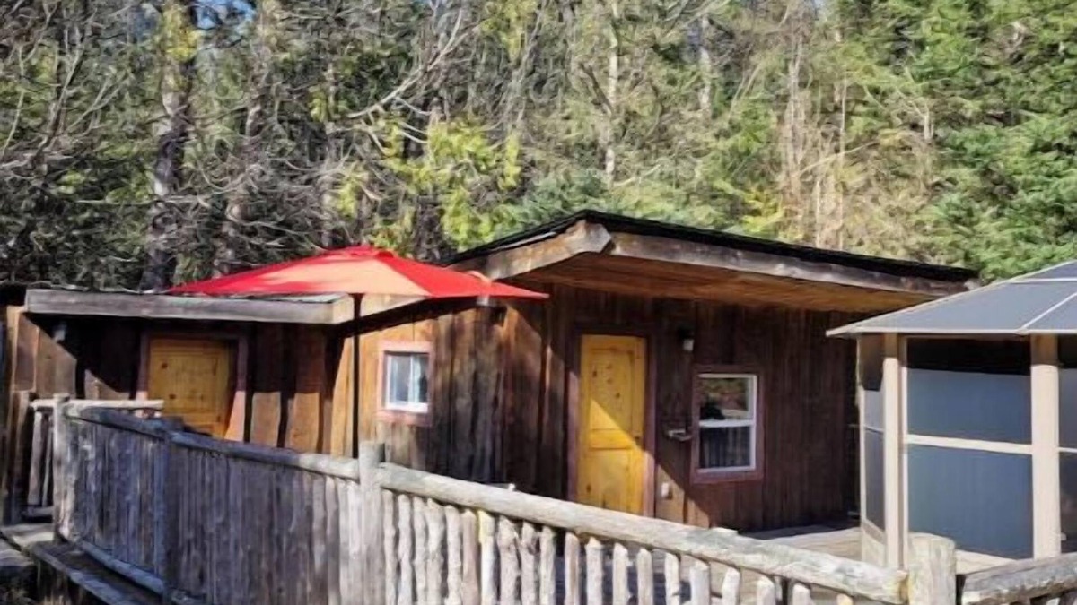 Asphodel-Norwood Cabin | Serenity Lane Stay: Private cabin in the woods on an animal sanctuary