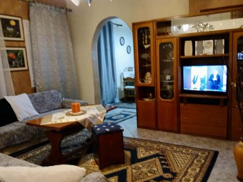 Metsovo Apartment | Sergios Rooms votonosi metsovo!