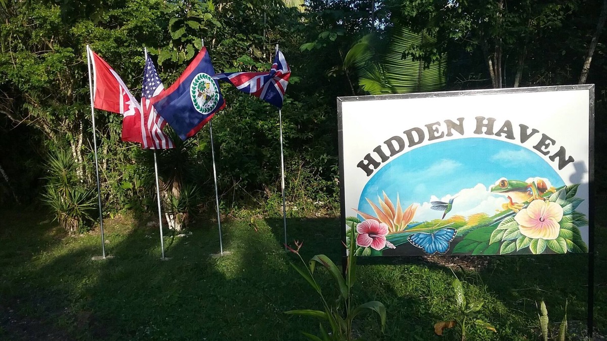 Unitedville Cabin | Set in the jungle, Ginger Lily is a self catering 1 bedroom cabin featuring A/C
