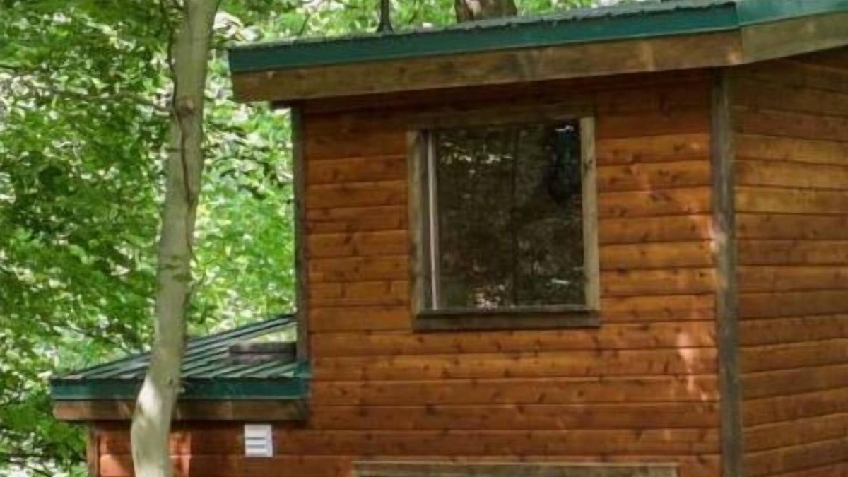 Logan House | Set of 2 Treehouses in Hocking Hills Adventure!