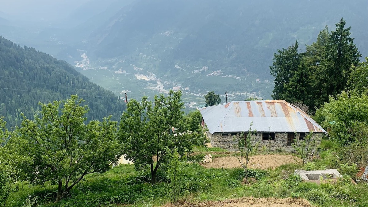 New Manali Bed & Breakfast | Sethan homestay The Ivy house