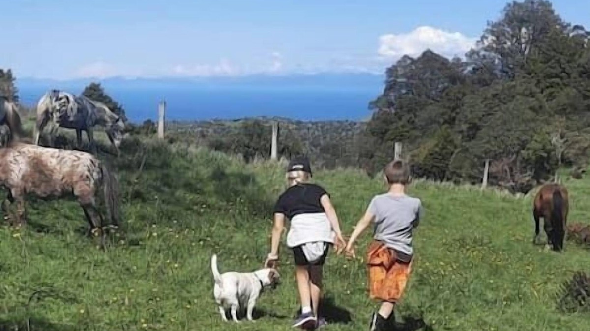 Takaka Hill Cabin | Settlers Cabin (Starlight)