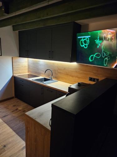 Mieroszow Apartment | Sewi 2- Kastalia