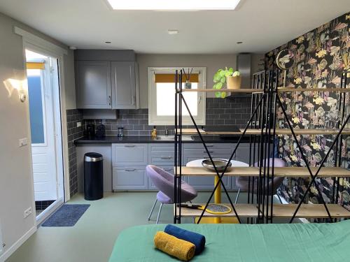 Noord Apartment | Sfeervol guesthouse, privé tuin en free parking