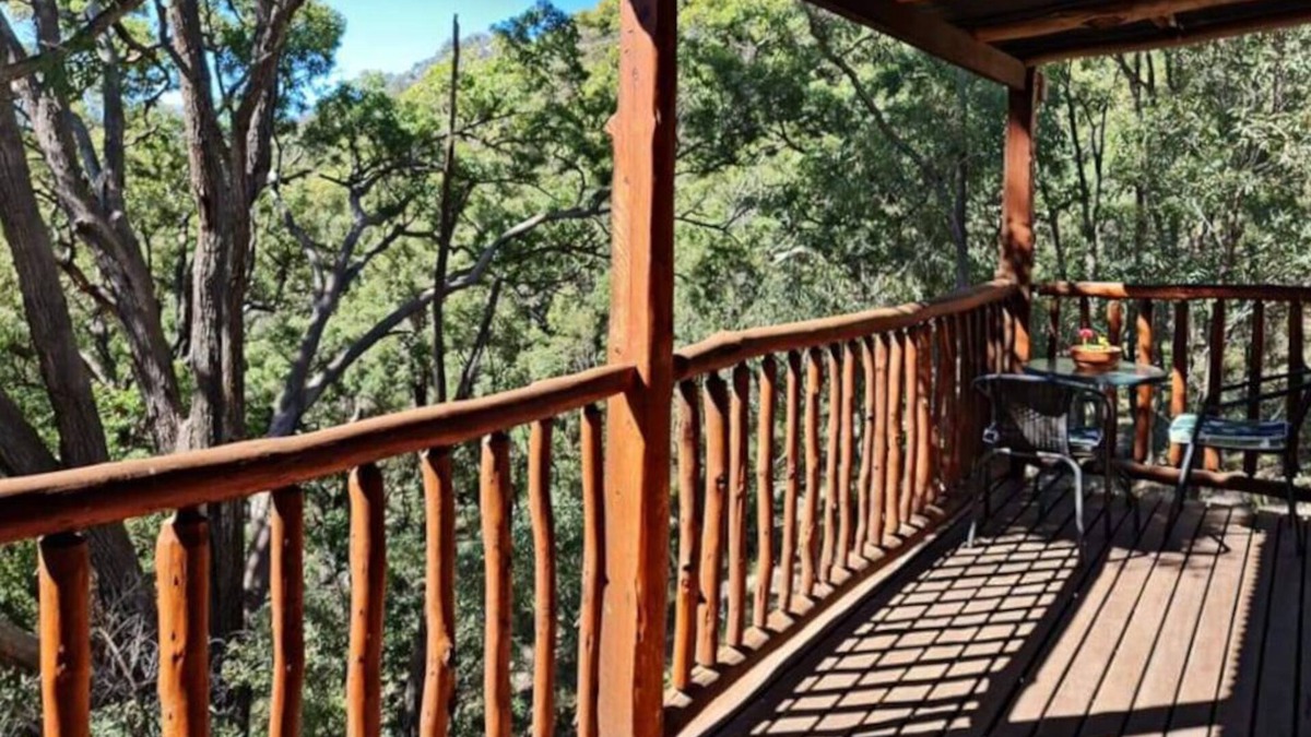 Grattai House | Shady Creek near Mudgee, nestled in natural Australian bushland.
