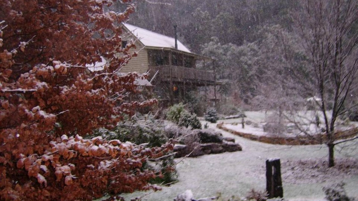 Harrietville Apartment | Shadybrook Alpine Apartment and garden
