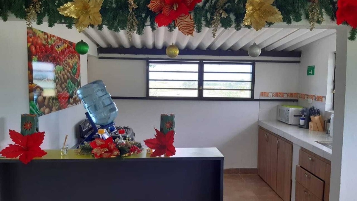 Alegrias House | SHALOM CABIN