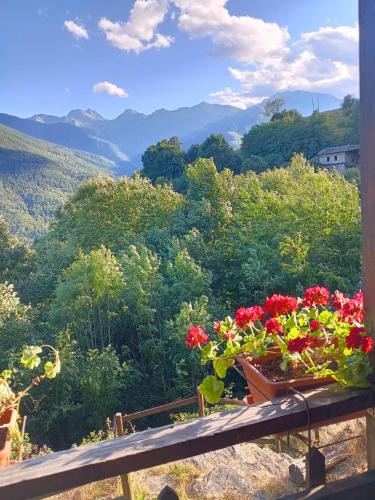 Villar Pellice Ski Chalet | Shangri-La