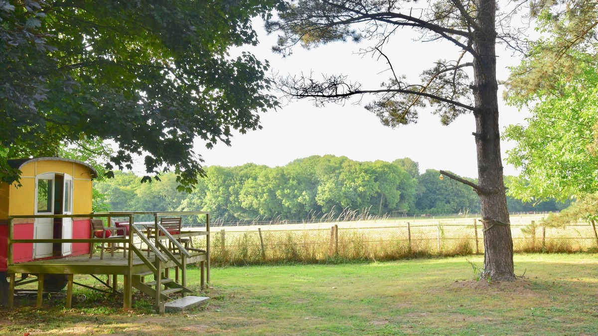 Crecy-en-Brie Apartment | Shanti-Gîte - Nice Gîte 140m² 8 places - Garden 4000 m² - 10mn Disney-35mn Paris