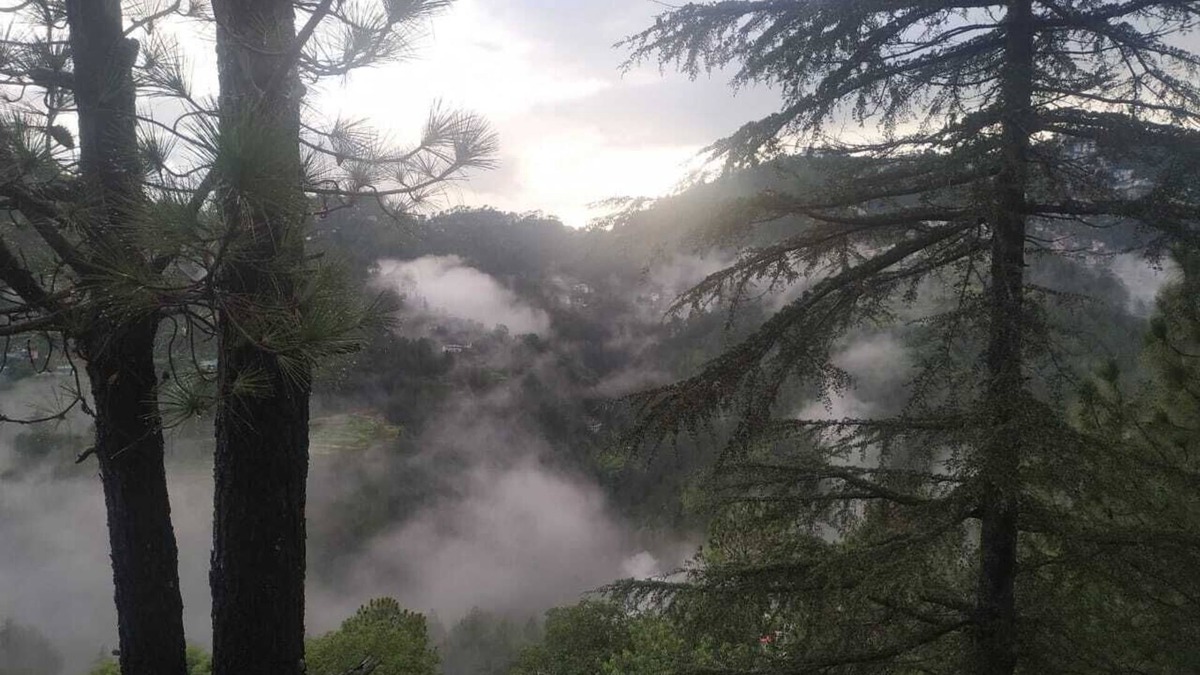 New Shimla Cottage | Shantivan.The hidden heaven