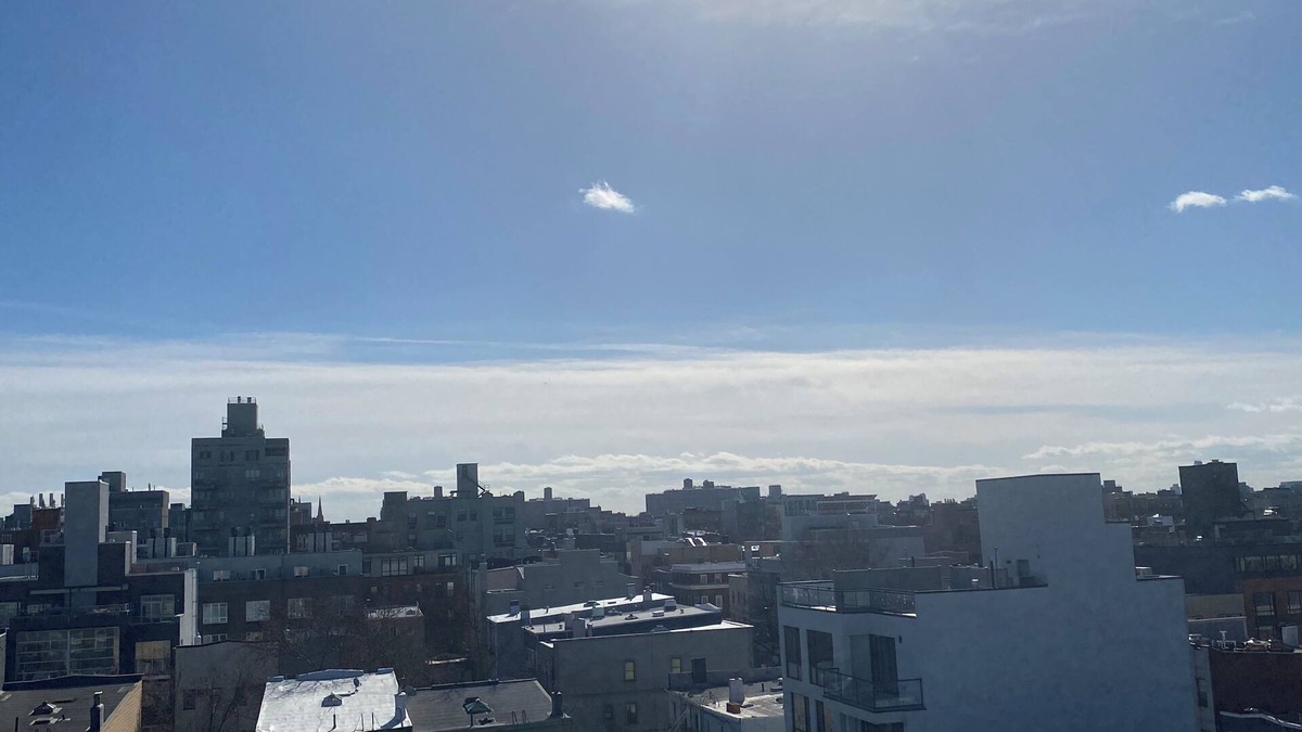 Williamsburg Apartment | Shared Coastal Designed 2-bedroom apartment with AC, WiFi in Vibrant Brooklyn