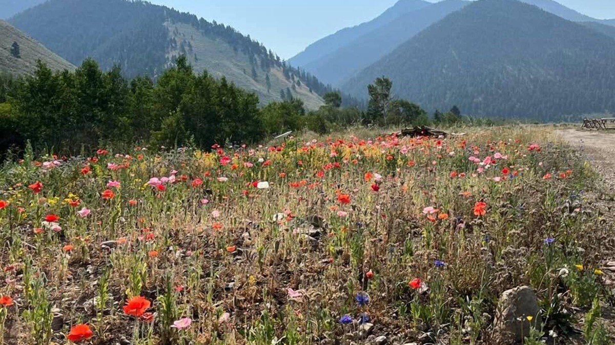 Cameron Cabin | Sheep Creek Ranch Wild Horse Luxury Glamping Tipi