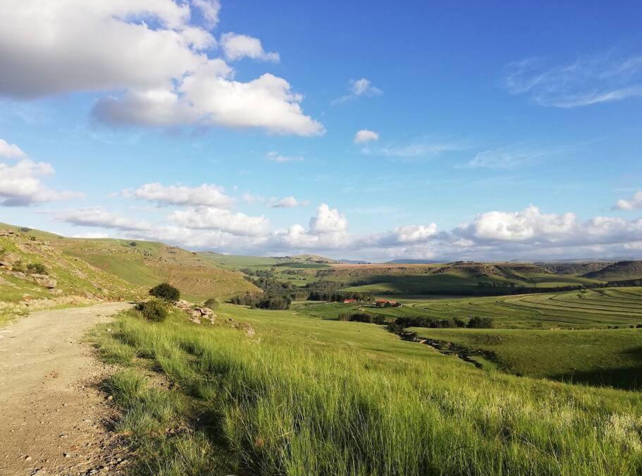 Elundini House | Sheeprun Farmstay