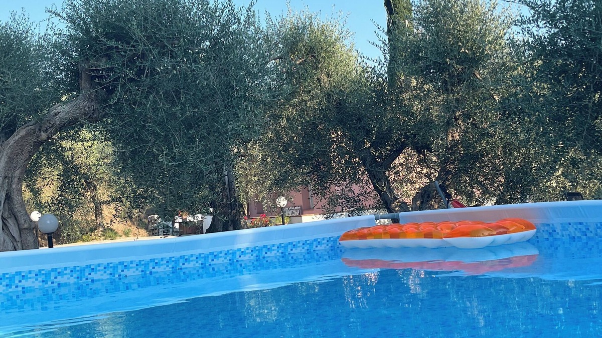 Montopoli in Val d'Arno House | Shelter among olive trees, Tuscan countryside, a stone's throw from characteristic cities