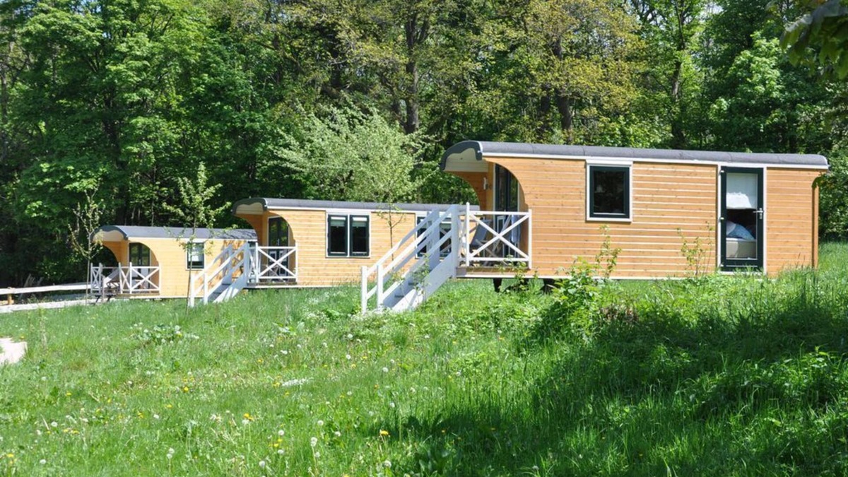 Bongard Other | Shepherd's wagon on the apple meadow incl. donkey hike - Donkey hike Eifel,