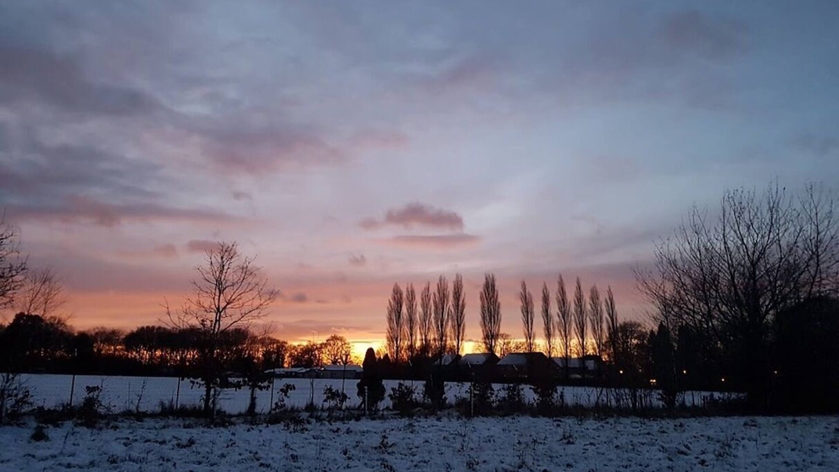 Warlingham Cabin | Shepherds hut with hot tub and BBQ