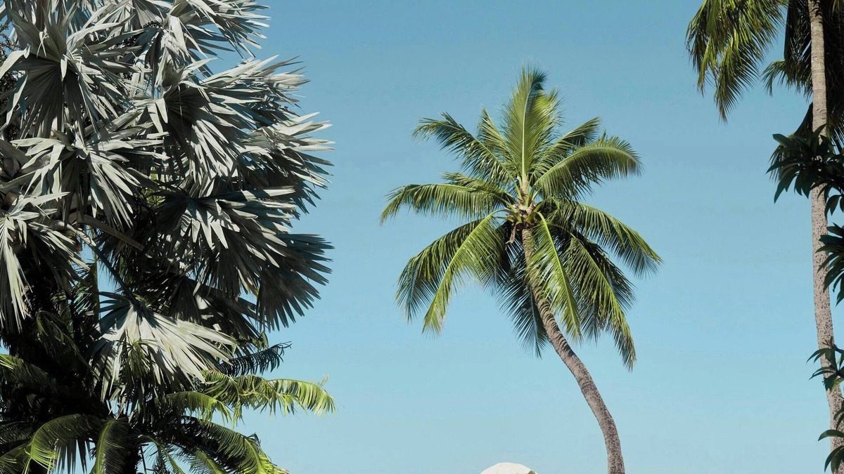 Nadi Resort | Sheraton Fiji Golf & Beach Resort