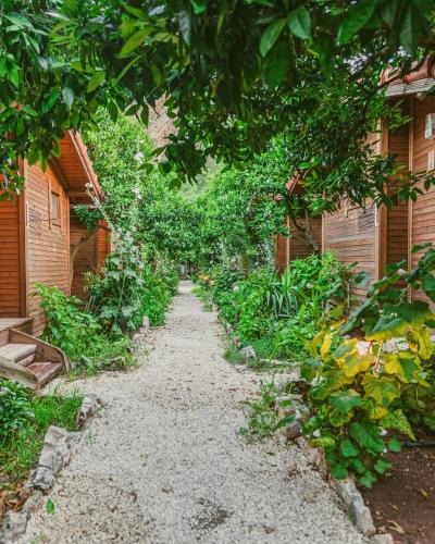 Olympos House | Sheriff, Olympos