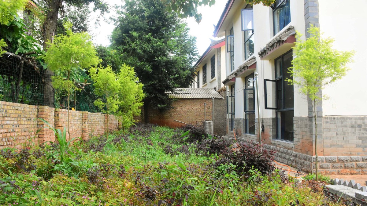 Shilin Yi Autonomous County Hotel | Shi Lin family folk inn
