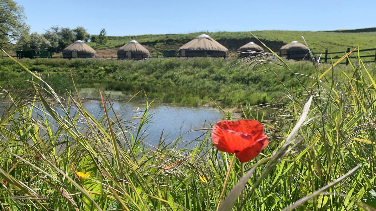Spilsby RV Rental | Shire Farm Yurt Village