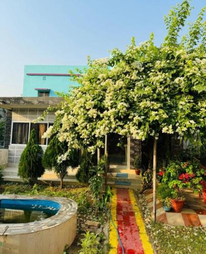 Ghatshila House | Shobuj Kutir সবুজ কুটির